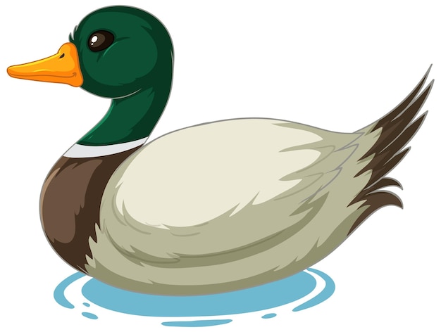 Free Vector colorful duck on water illustration