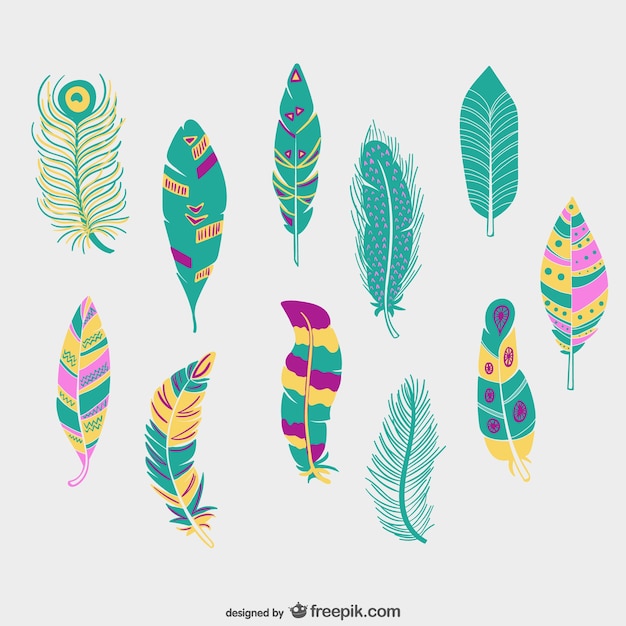 Colorful feathers pack