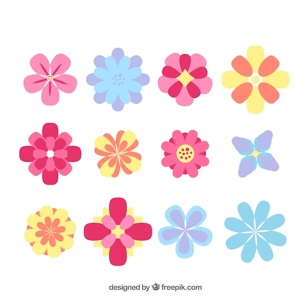 Colorful flowers collection in flat style