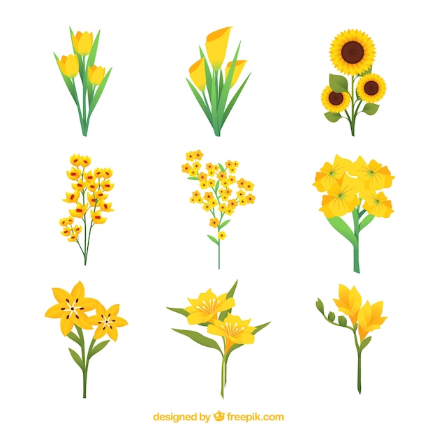 Free vector colorful flowers collection in flat style