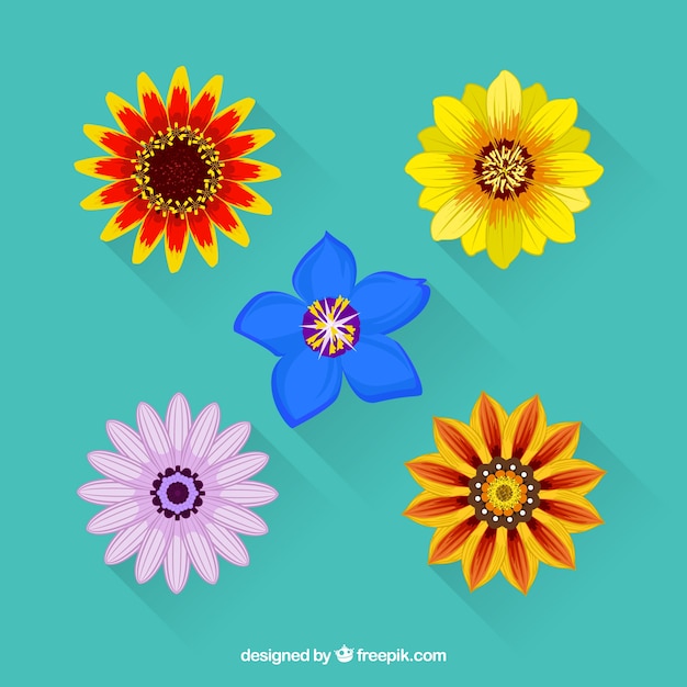 Colorful flowers collection in flat style