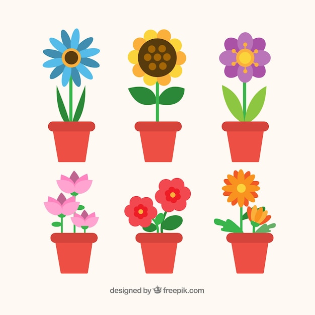 Free vector colorful flowers collection in flat style