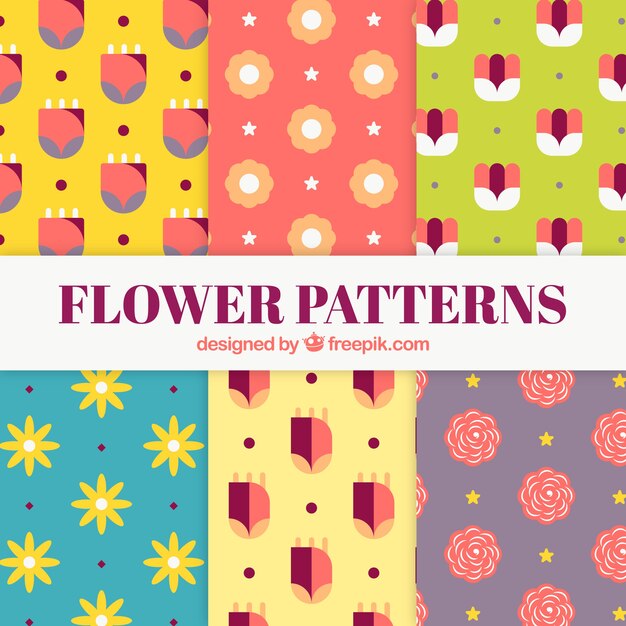 Colorful flowers patterns collection