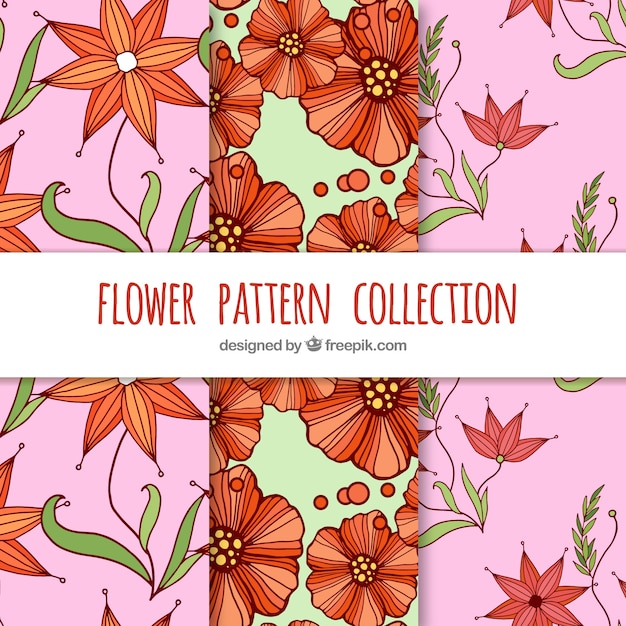 Colorful flowers patterns collection