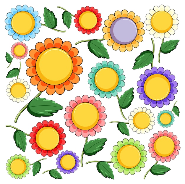 Colorful flowers on white background