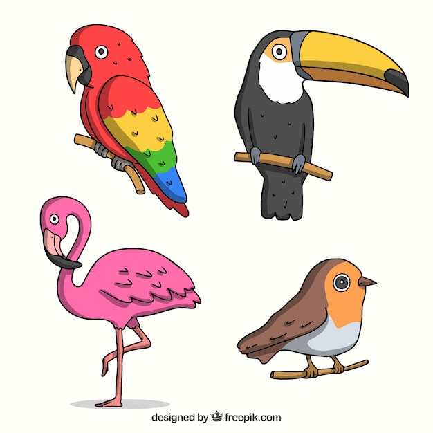 Free Vector colorful hand drawn bird collection