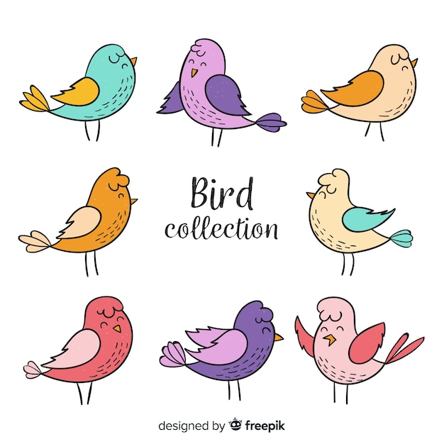 Colorful hand drawn bird collection