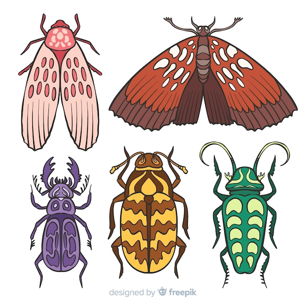 Free vector colorful hand drawn insect collection