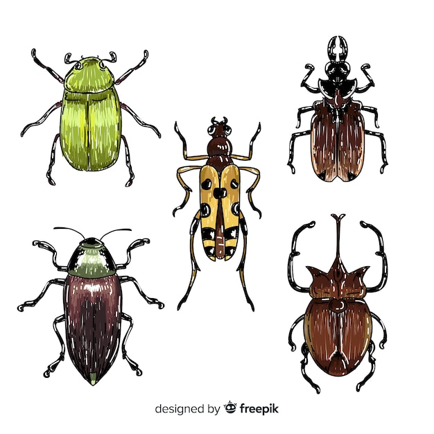 Free Vector colorful hand drawn insect collection