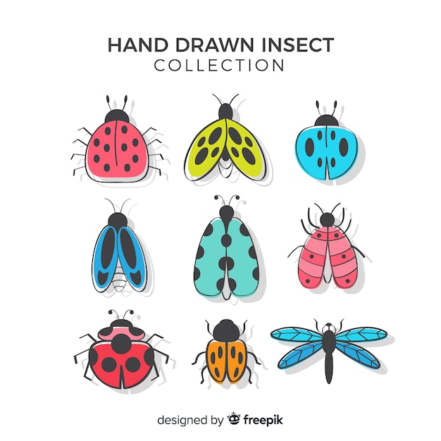 Free Vector colorful hand drawn insects pack