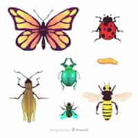 Free vector colorful hand drawn insects pack