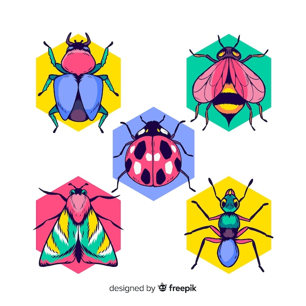 Free vector colorful hand drawn insects pack