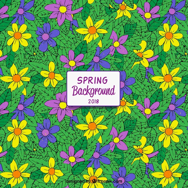 Free Vector colorful hand drawn spring background