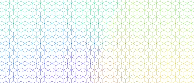 Colorful hexagonal line wide pattern design banner