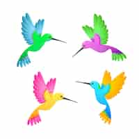 Free vector colorful hummingbird set