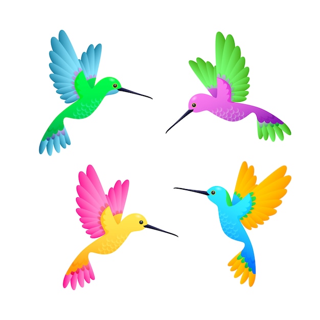 Free Vector colorful hummingbird set