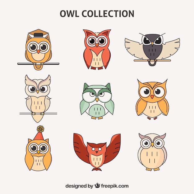 Colorful outline owl set of nine