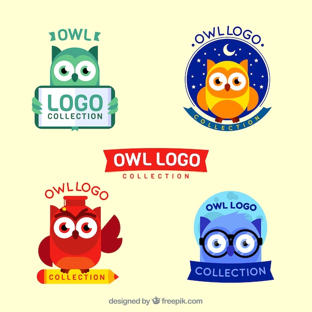 Colorful owl logo collection