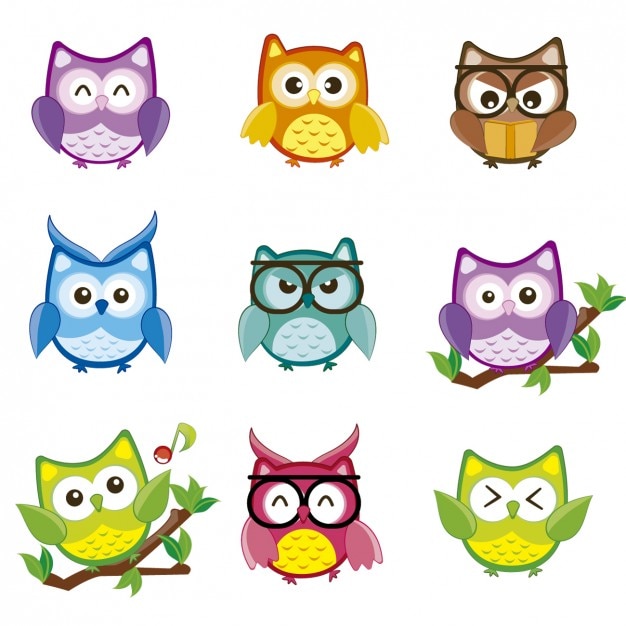 Colorful owls collection