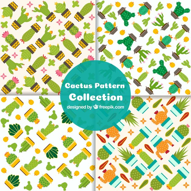 Free Vector colorful pack of cactus patterns