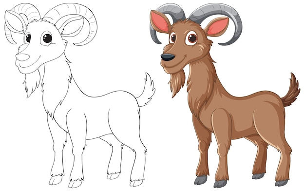 Free Vector colorful ram illustration before and after