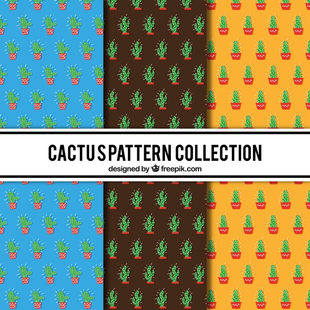 Colorful set of cactus patterns