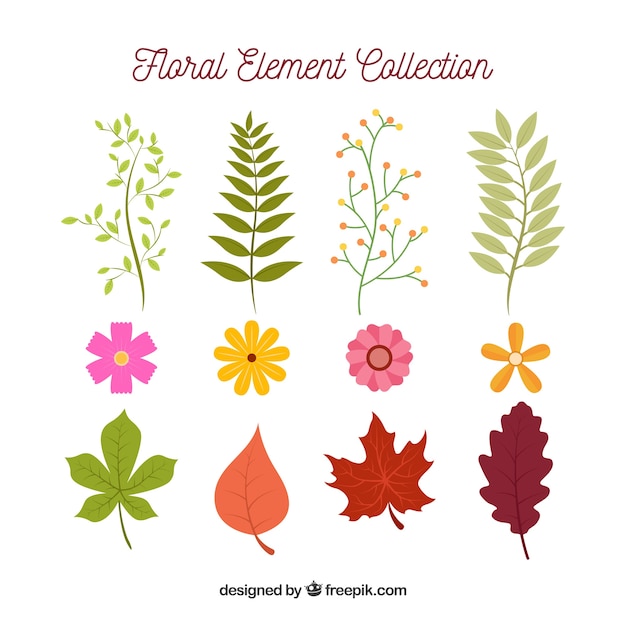 Free Vector colorful set of floral elements with flat design