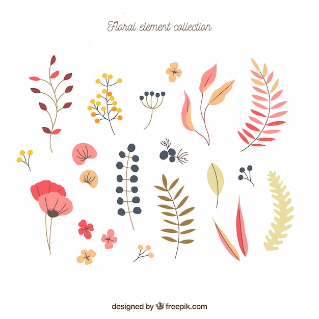 Free Vector colorful set of floral elements with flat design