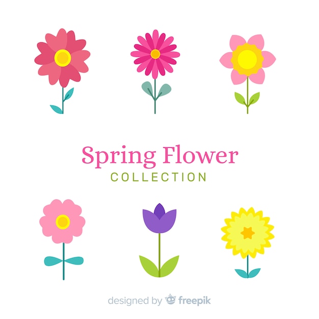 Colorful spring flower collection