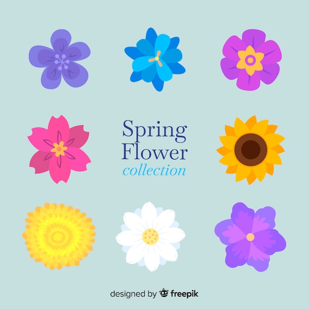 Colorful spring flower set