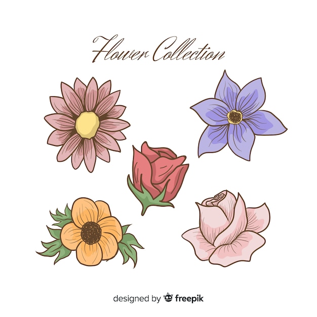 Colorful spring flowers pack