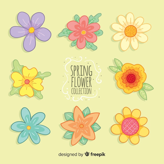 Colorful spring flowers pack