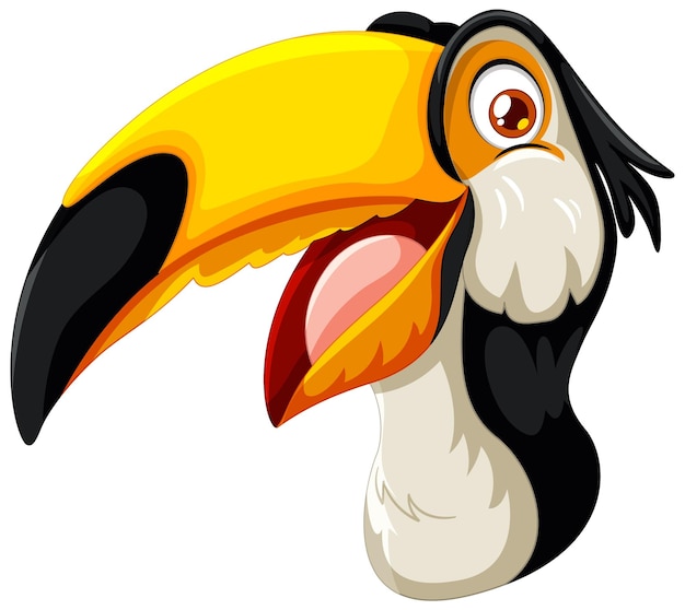 Free Vector colorful toucan cartoon illustration