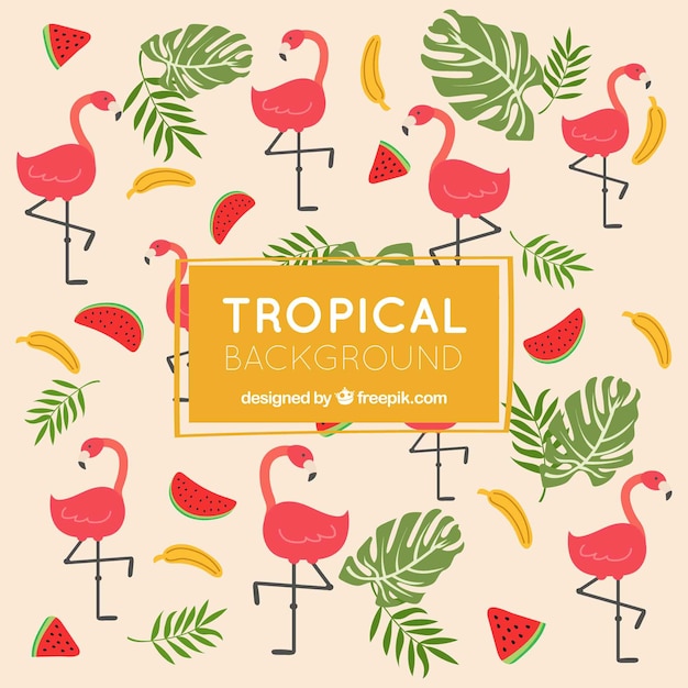 Free Vector colorful tropical background with flat design