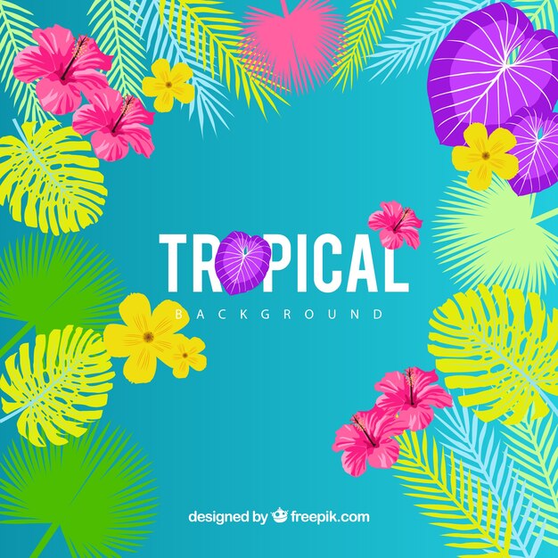 Colorful tropical background with flat design