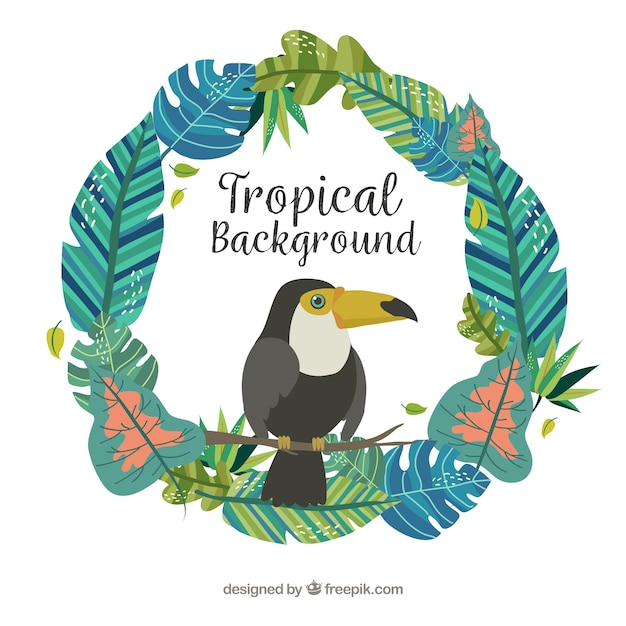 Free vector colorful tropical background with tucan