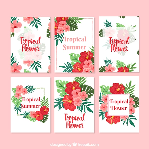 Colorful tropical flower card collection