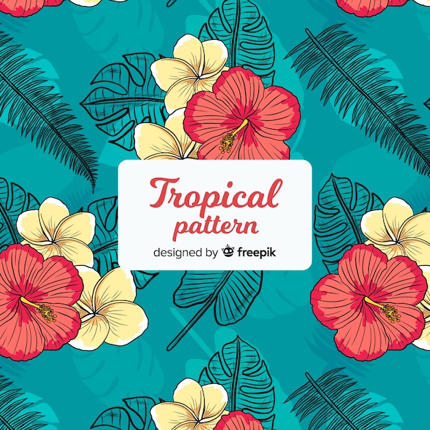 Free Vector colorful tropical pattern with flowers