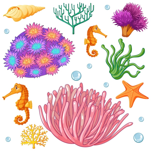 Free Vector colorful underwater marine life