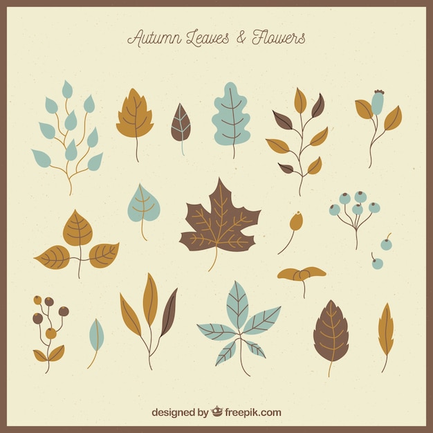 Free Vector colorful variety of autumnal leaves