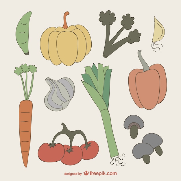 Colorful vegetables drawing