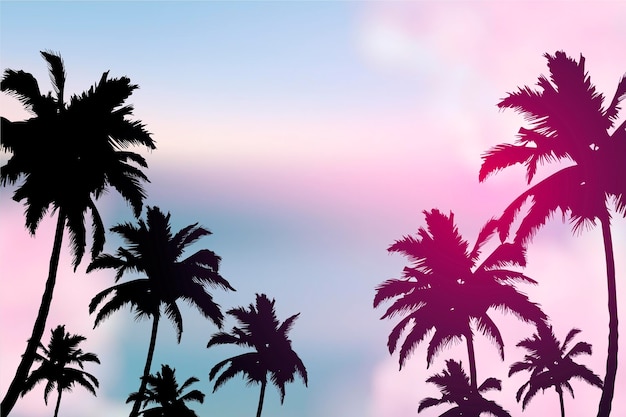 Colorful wallpaper with palm silhouettes concept