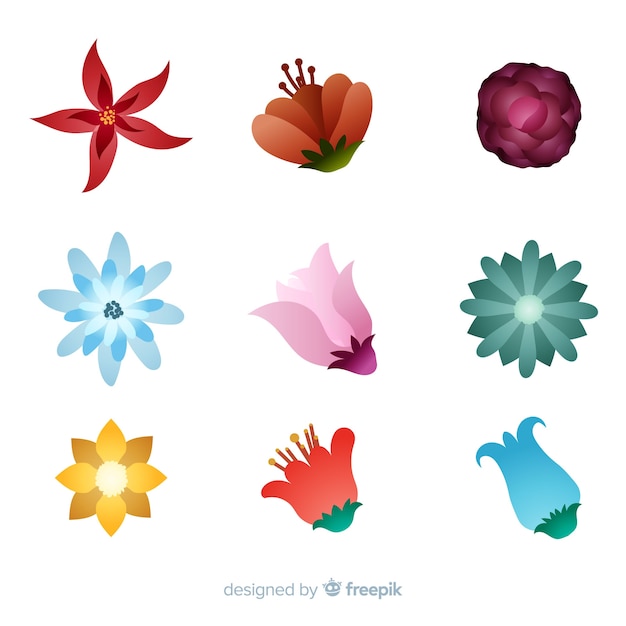 Colorful winter flowers pack