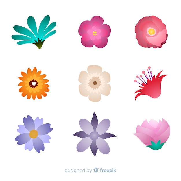 Free Vector colorful winter flowers pack