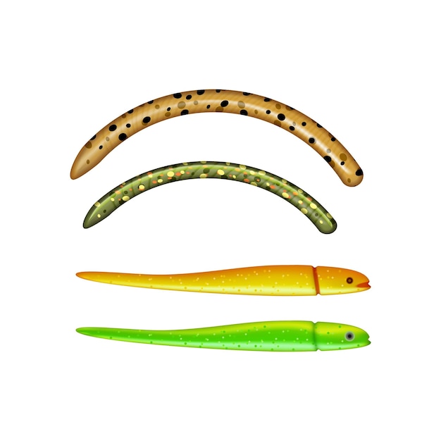 Colorful worms and fish baits realistic isolated  illustration