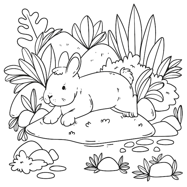 Free vector coloring book illustration