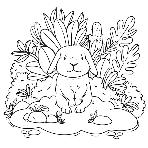 Free vector coloring book illustration