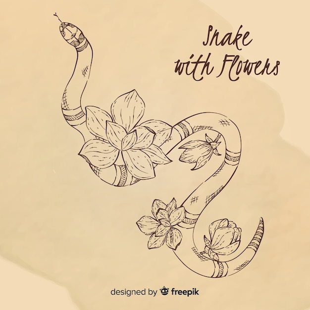 Colorless hand drawn snake with flowers background