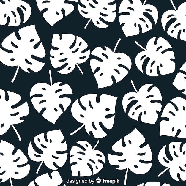 Colorless monstera leaves background