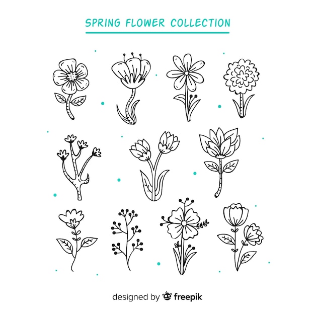 Colorless spring flower collection